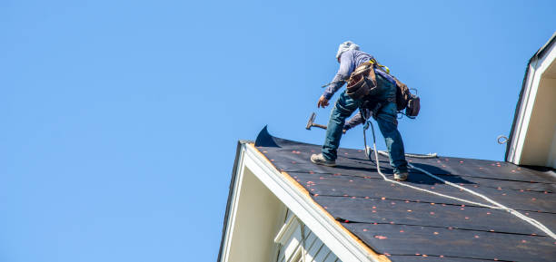 Roof Gutter Cleaning in New Providence, NJ